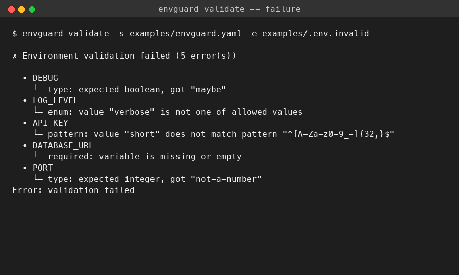 Validation failure output showing multiple errors